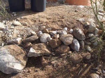 Pack Rat nest removed from river rock
